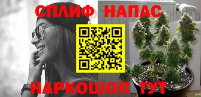 стафф Гагарин