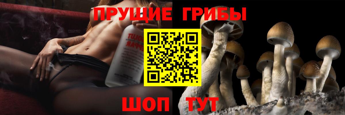 Галлюциногенные грибы ЛСД  Вход с VPN  Псилоцибиновые грибы ЛСД  Моздок 